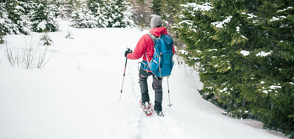 Snowshoe walking